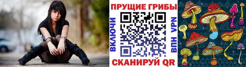 Купить закладки  Кемь  Псилоцибиновые грибы мицелий 